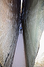 Joint Trail